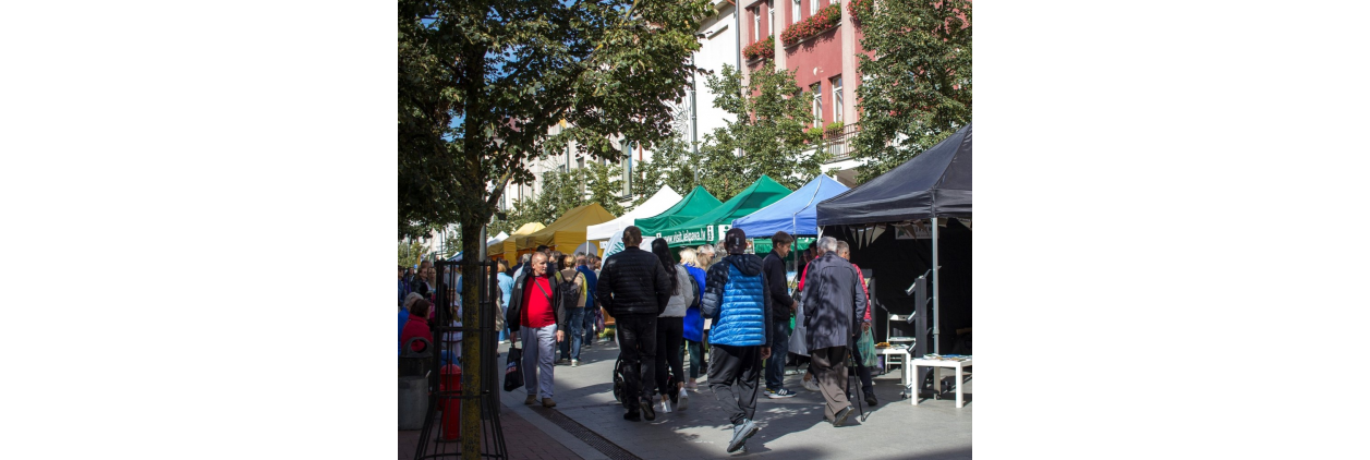 turizmo gatvė 5a-8f50d2322cb727009aee88390af9b710.jpg